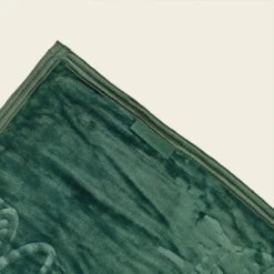 Big Green Egg Fleecedeken -Groen Egg BBQ Verkoop image 237