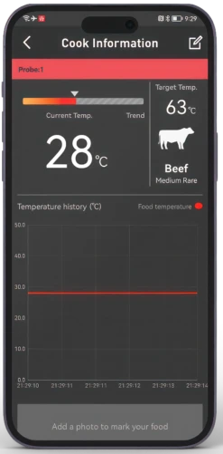 HerQs Pin Pro Thermometer -Groen Egg BBQ Verkoop image 421